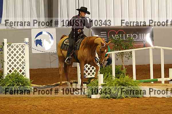 Proof 10usn_10343