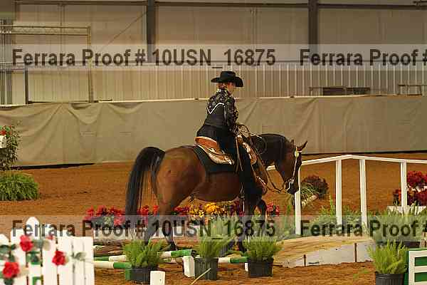 Proof 10usn_16875