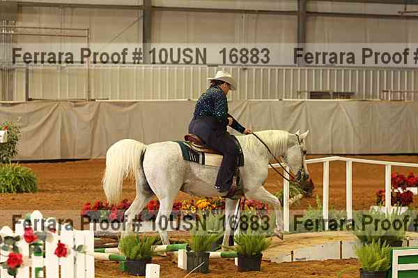 Proof 10usn_16883