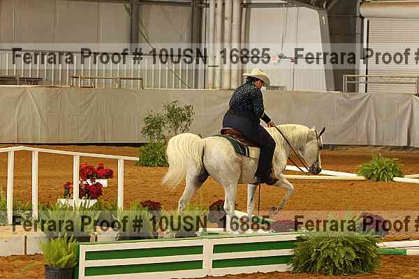Proof 10usn_16885