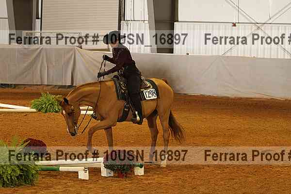 Proof 10usn_16897