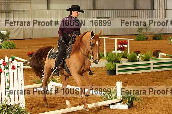Proof 10usn_16899