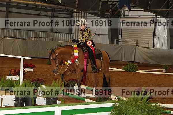 Proof 10usn_16918