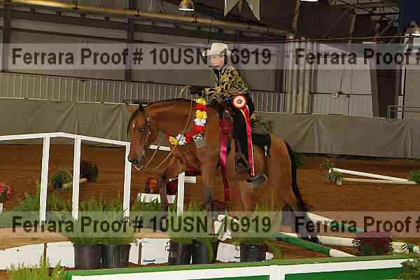 Proof 10usn_16919