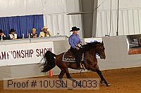 10usn_04033 proof