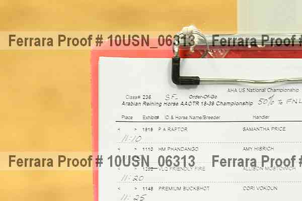 Proof 10usn_06313
