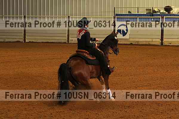 Proof 10usn_06314