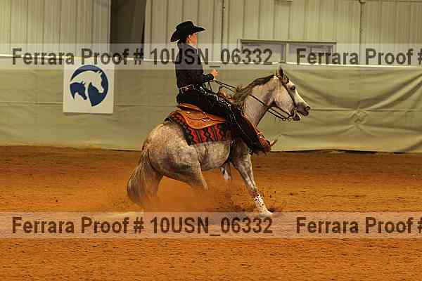 Proof 10usn_06332