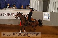 10usn_14191 proof