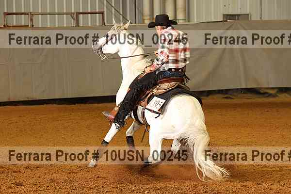 Proof 10usn_00245