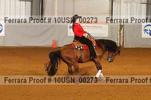 Proof 10usn_00273