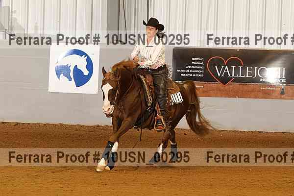 Proof 10usn_00295