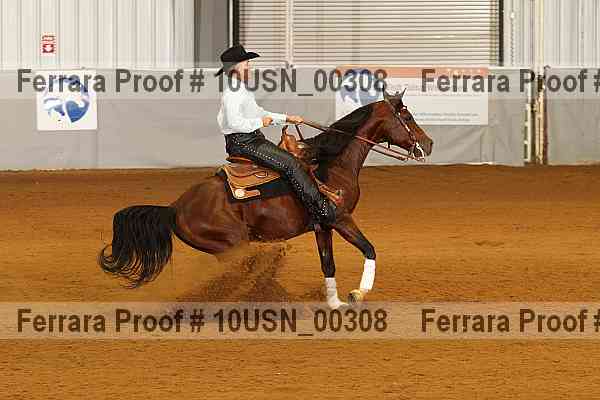 Proof 10usn_00308