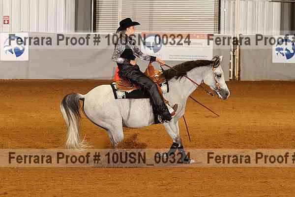Proof 10usn_00324