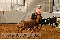 10usn_21365 proof
