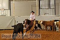10usn_21384 proof