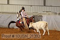 10usn_21392 proof