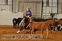 10usn_21486 proof