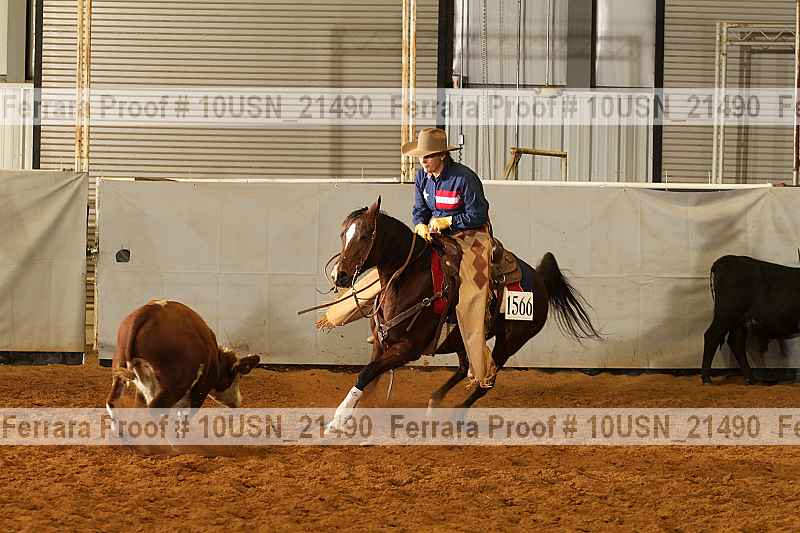 Proof 10usn_21490