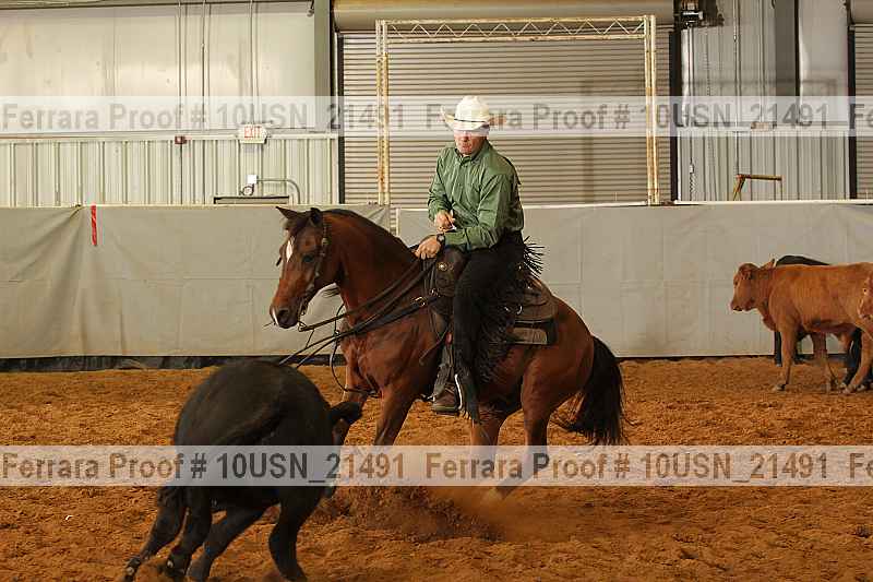 Proof 10usn_21491