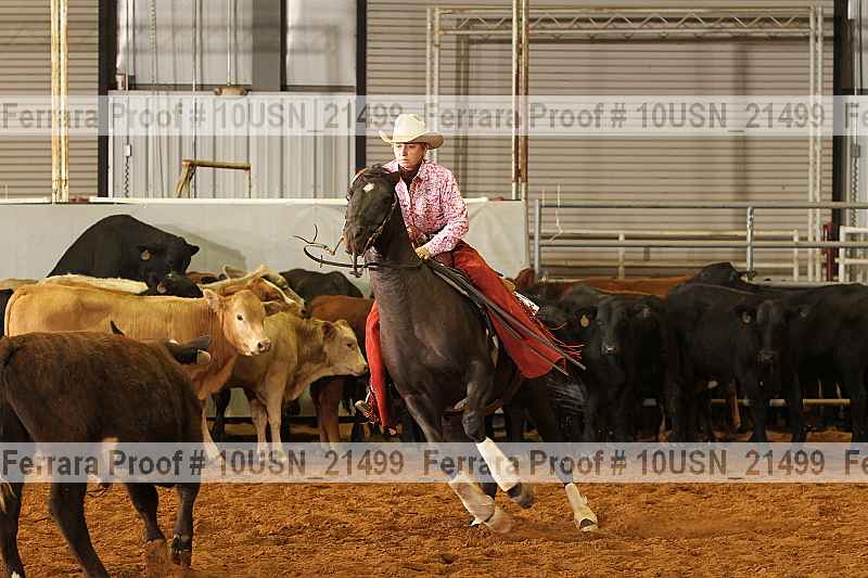 Proof 10usn_21499
