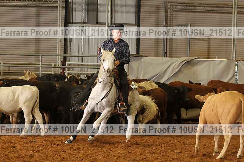 Proof 10usn_21512