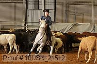 10usn_21512 proof