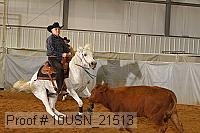 10usn_21513 proof