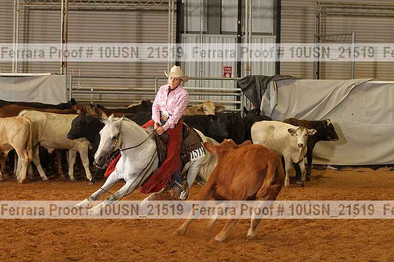 Proof 10usn_21519