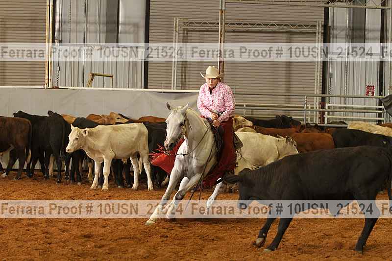 Proof 10usn_21524