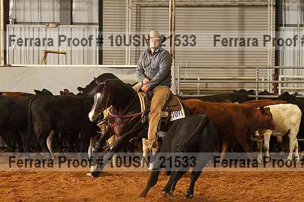 Proof 10usn_21533