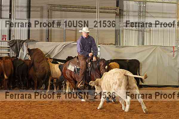 Proof 10usn_21536