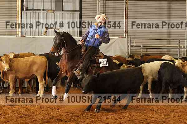 Proof 10usn_21544