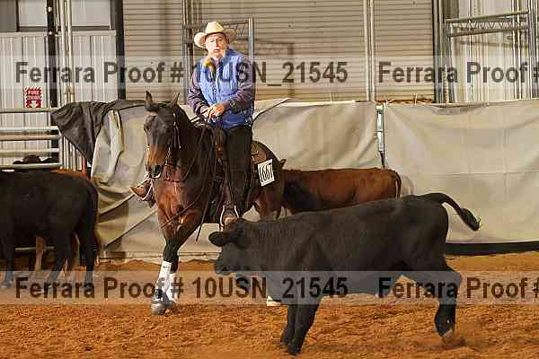 Proof 10usn_21545