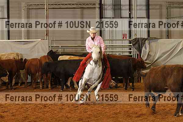 Proof 10usn_21559