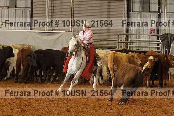 Proof 10usn_21564