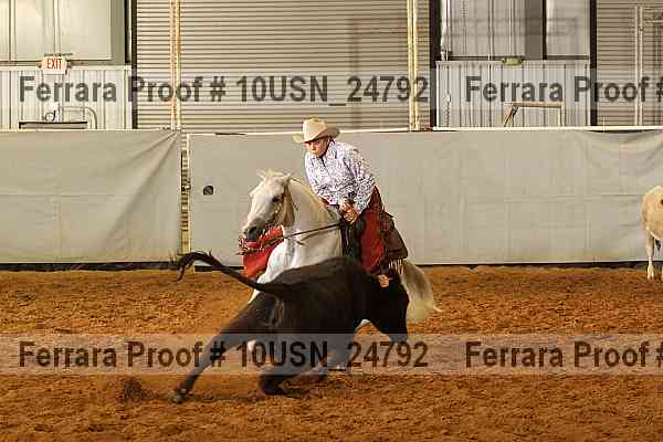 Proof 10usn_24792