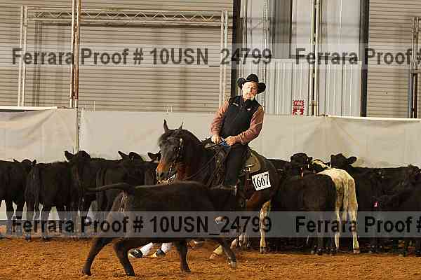 Proof 10usn_24799