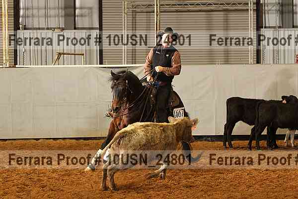 Proof 10usn_24801