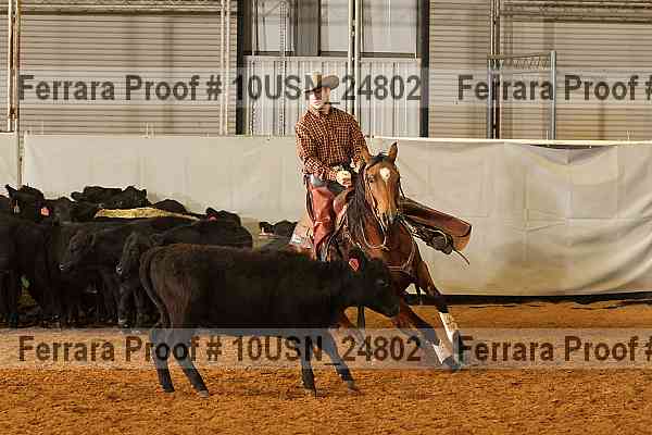 Proof 10usn_24802