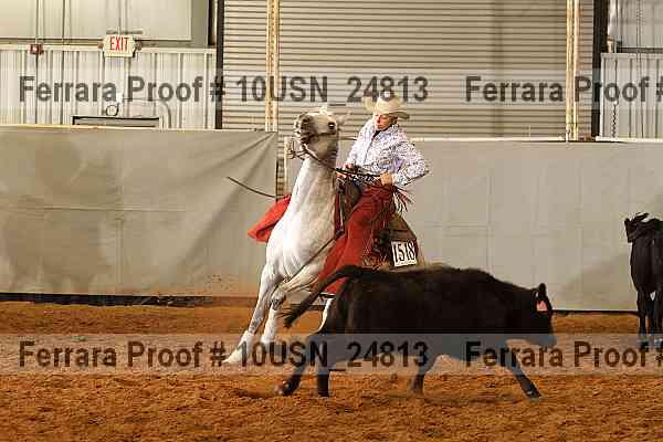 Proof 10usn_24813