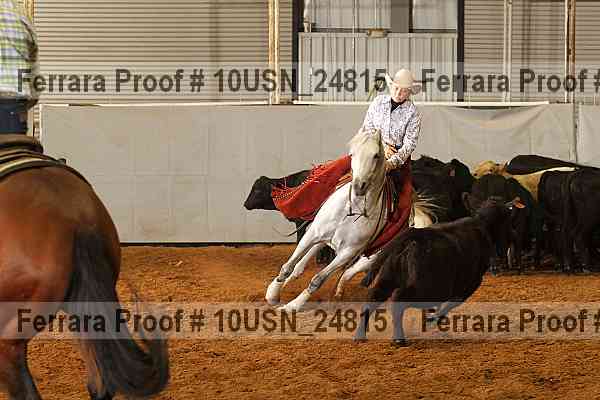 Proof 10usn_24815