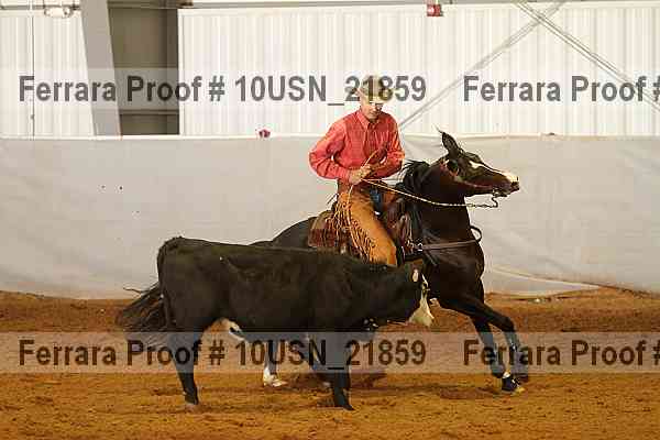 Proof 10usn_21859
