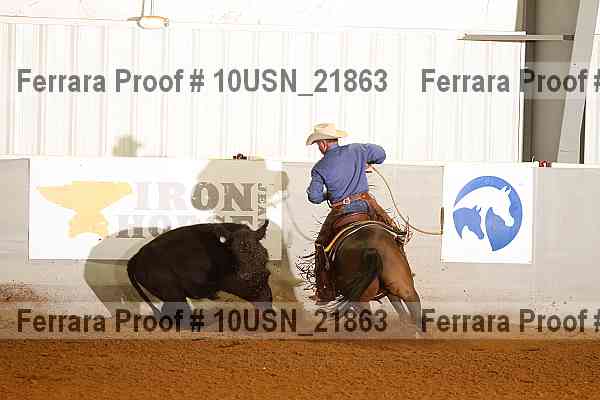 Proof 10usn_21863
