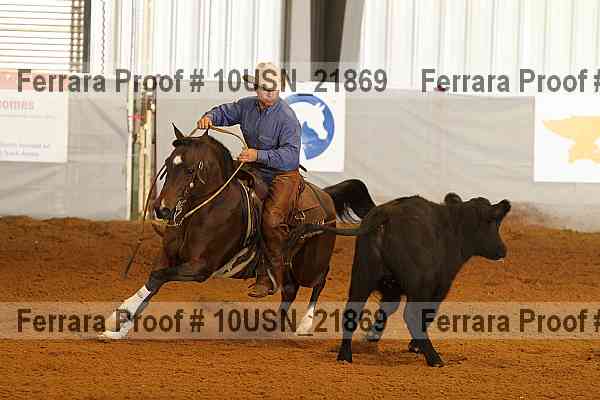Proof 10usn_21869