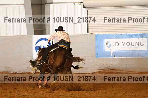 Proof 10usn_21874