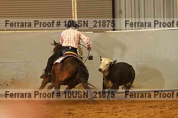 Proof 10usn_21875