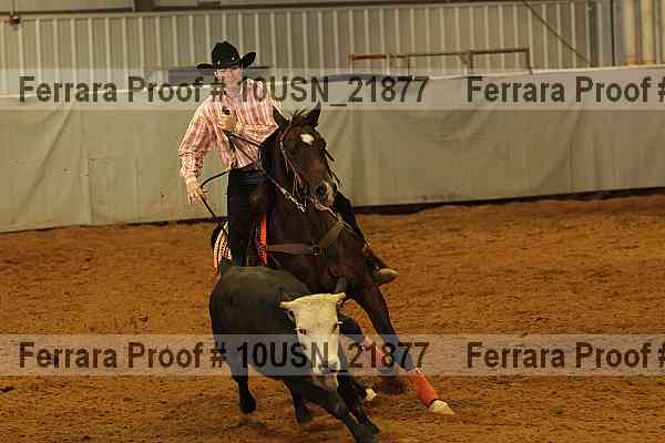 Proof 10usn_21877