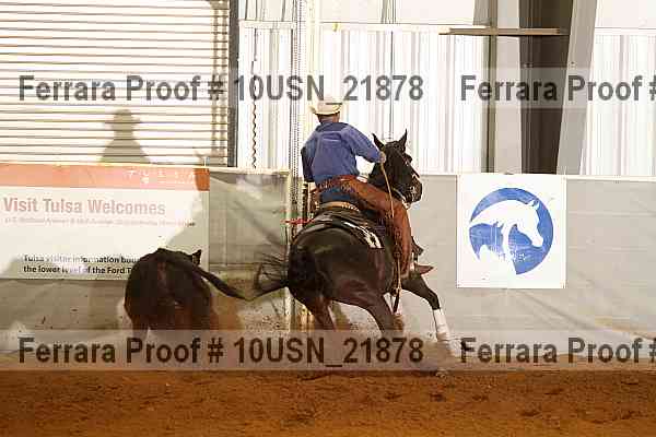 Proof 10usn_21878