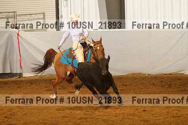Proof 10usn_21893